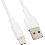 Блок питания (сетевой адаптер) HOCO C37A с 1 USB портом 2,4A кабель USB Type-C в комплекте белый