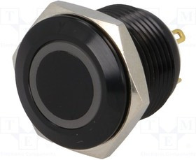 V16-10R-24Y-A, Переключатель: антивандальный, Пол: 2, SPST-NO, 2A/36ВDC, IP65