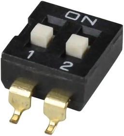 DS04-254-2-02BK-SMT-TR