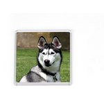 Акриловая заготовка для магнита Forceberg 65x65 мм, прозрачная, 10 шт.