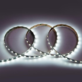 General Лента Светодиодная 5 метров 14,4Вт 24В SMD5050 10мм 300 диодов 22 Лм/чип IP20 6500К Холодный белый свет 502340 GLS-5050-60-14.4-24-I General Лента Светодиодная 5 метров 14,4Вт 24В SMD5050 10мм 300 диодов 22 Лм/чип IP20 6500К Холодный белый свет 502340 GLS-5050-60-14.4-24-I