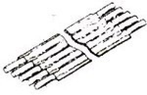 FSP-24A-10, FFC / FPC Jumper Cables 4" 10 CONDUCTOR .100 Polyester FSP-24A-10, FFC / FPC Jumper Cables 4" 10 CONDUCTOR .100 Polyester
