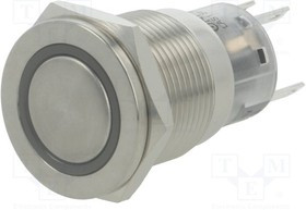 V19-21PFE-24G-S, Переключатель: антивандальный, Пол: 2, SPDT, 0,5A/220ВAC, 1A/24ВDC