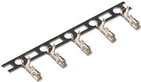 SPH-002T-P0.5L