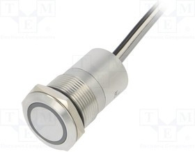 BG-MC19LOSGR, Переключатель: емкостный, Пол: 2, SPST-NO, 0,01A/12ВDC, IP68, 20мОм