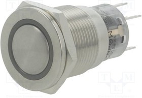 V19-21PFE-12R-S, Переключатель: антивандальный, Пол: 2, SPDT, 0,5A/220ВAC, 1A/24ВDC