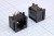 L-KLS12-304-10P10C-W-1, Розетка 10P10C (RJ50) на плату угловая; №15871 гн телеф10P10C\10P\\плат/ угл\L-KLS12-304-10P10C-W