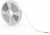 Лента Basic 12V 10W/m 700lm/m RGB IP20 LED 3m 1/100 BT054 Лента Basic 12V 10W/m 700lm/m RGB IP20 LED 3m 1/100 BT054