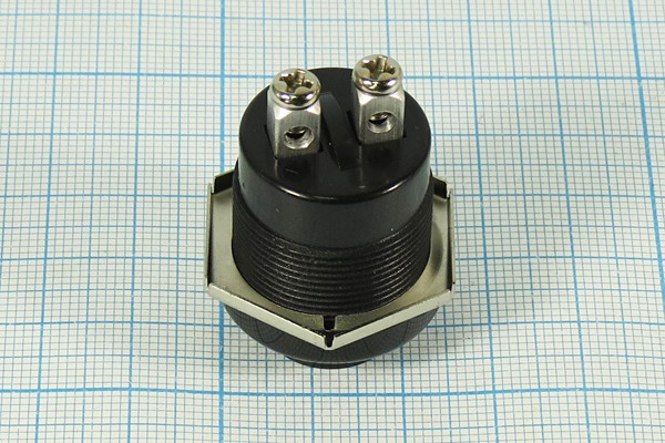 Включатель кнопочный без фиксации (SPST), OFF-(ON), черный, уточнить напряжение, 220/10А; №2099 ПКн\ 24\10\(SPST)\d22\чер\ чер\\2Cвинт\A2-5A