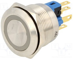 V22-11R-12G-S, Переключатель: антивандальный, Пол: 2, SPST-NO + SPST-NC, IP65