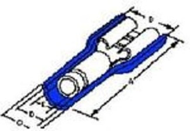 190020024