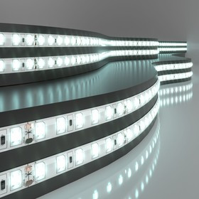 2835 24V 120Led 9,6W IP65 / Лента светодиодная 120Led 9,6W IP65 6500K холодный белый 2835 24V 120Led 9,6W IP65 / Лента светодиодная 120Led 9,6W IP65 6500K холодный белый