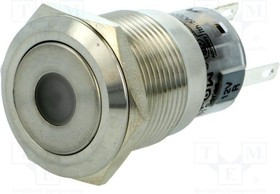 V19-21D-12R-S, Переключатель: антивандальный, Пол: 2, SPDT, 0,5A/220ВAC, 1A/24ВDC