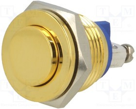 V16-10PH-G, Переключатель: антивандальный, Пол: 2, SPST-NO, 2A/36ВDC, IP65