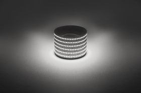 Светодиодная лента ЭРА LS2835 -19,2-240-12-4000K-IP20-1 year-5m дневной белый 5м Б0059907 Светодиодная лента ЭРА LS2835 -19,2-240-12-4000K-IP20-1 year-5m дневной белый 5м Б0059907