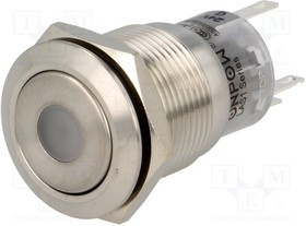 V19-21D-24G-S, Переключатель: антивандальный, Пол: 2, SPDT, 0,5A/220ВAC, 1A/24ВDC