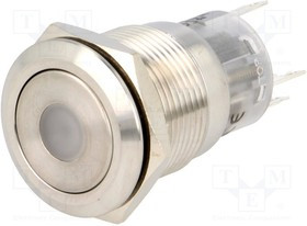 V19-21D-24R-S, Переключатель: антивандальный, Пол: 2, SPDT, 0,5A/220ВAC, 1A/24ВDC