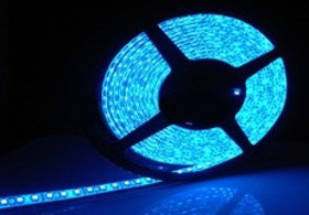 Светодиодная лента GLS-5050-60- 14.4-12-IP20-B 502610