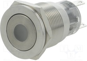 V19-11PFD-24G-S, Переключатель: антивандальный, Пол: 2, SPDT, 0,5A/220ВAC, 1A/24ВDC