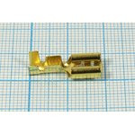 Клемма розетка, 6,4x0,8, 1-2,5 мм2, латунь, замок Клемма розетка, 6,4x0,8, 1-2,5 мм2, латунь, замок