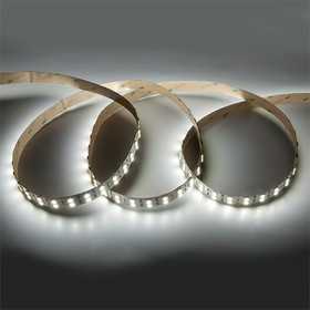 Светодиодная лента GLS-5050-120-28. 8-24-IP20-PRM-6 502440