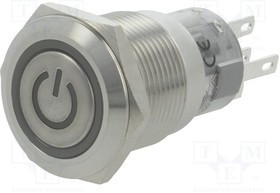 V19-11ET-24G-S, Переключатель: антивандальный, Пол: 2, SPDT, 0,5A/220ВAC, 1A/24ВDC