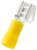 EDV10-250P-Q EDV10-250P-Q