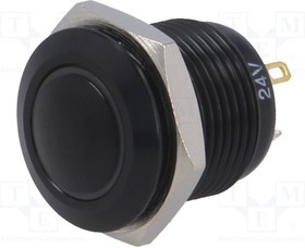 V16-10N-24R-A, Переключатель: антивандальный, Пол: 2, SPST-NO, 2A/36ВDC, IP65