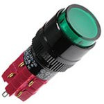 D16LAR1-2abKG, Кнопка с фиксацией (5A 250VAC), LED подсветка 24VDC