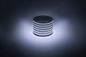 Светодиодная лента ЭРА LS2835 -19,2-240-12-6500K-IP20-1 year-5m холодный белый 5м Б0059908