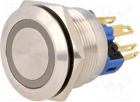 V22-11R-24G-S, Переключатель: антивандальный, Пол: 2, SPST-NO + SPST-NC, IP65