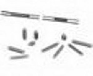FX6-80P-0.8SV(71) FX6-80P-0.8SV(71)