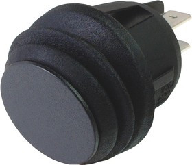 MCR13-244A8-02, Клавишный переключатель, Вкл.-Выкл., DPST, Без Подсветки, Панель, Черный, R13