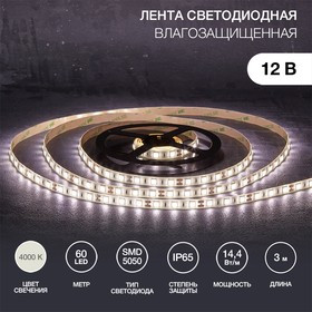 141-2031, Лента светодиодная 12В, SMD5050, 14,4Вт/м, 60 LED/м, 4000К, 10мм, 3м, для БП с клеммами, IP65