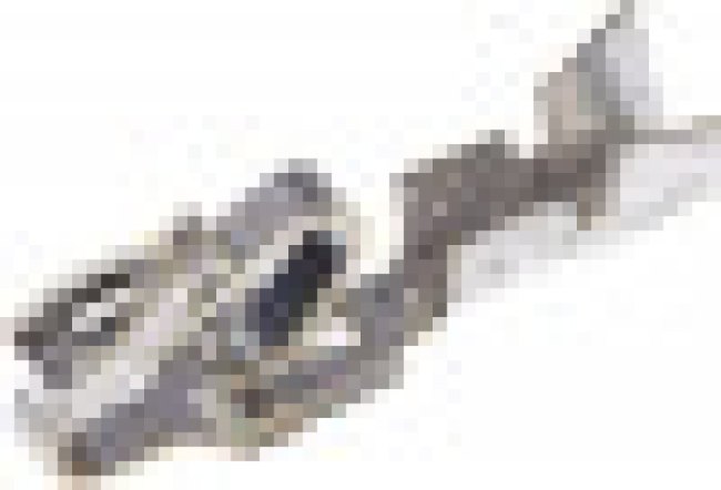 8500187 8500187