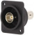 CP303095X, RF Connector, BNC, Socket, Straight, 75Ohm,