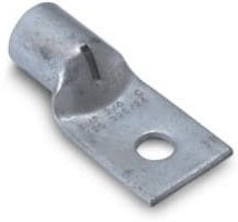 325405
