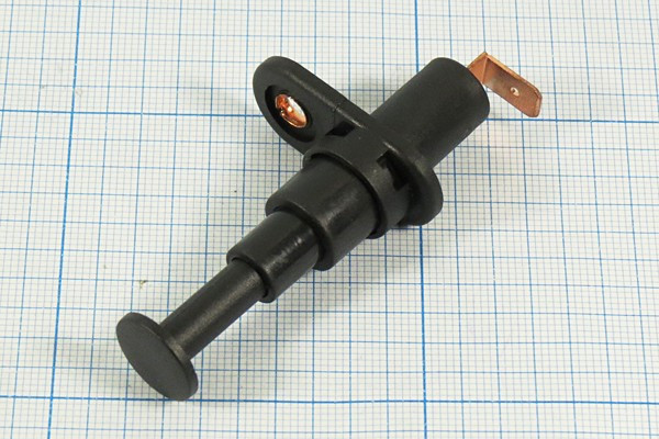 Микропереключатель, 20А, переключение ON-(OFF), ASW-19, 12В, d11.6