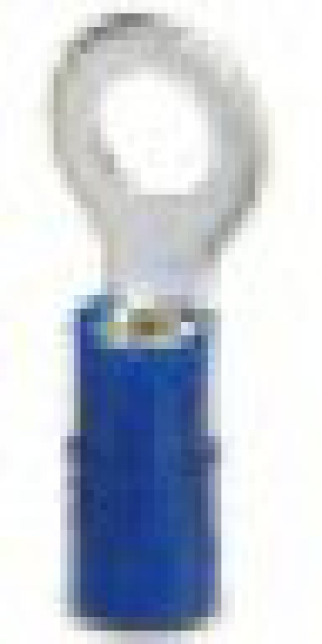 3240024