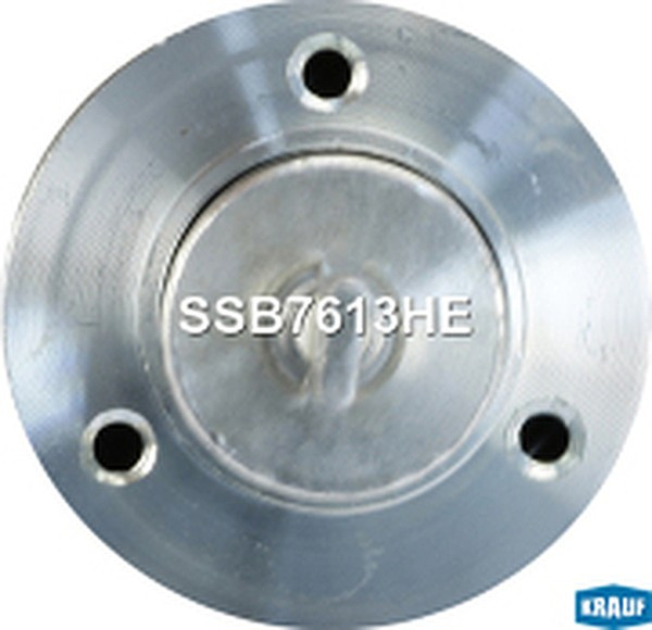 SSB7613HE, Втягивающее реле стартера