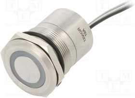 BG-MC25LCSRG, Переключатель: емкостный, Пол: 2, SPST-NC, 0,01A/12ВDC, IP68, 20мОм