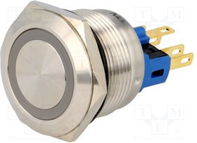 V22-11R-12Y-S, Переключатель: антивандальный, Пол: 2, SPST-NO + SPST-NC, IP65