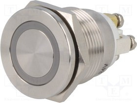 V19-10PFE-24G-S, Переключатель: антивандальный, Пол: 2, SPST-NO, 0,5A/220ВAC, IP65