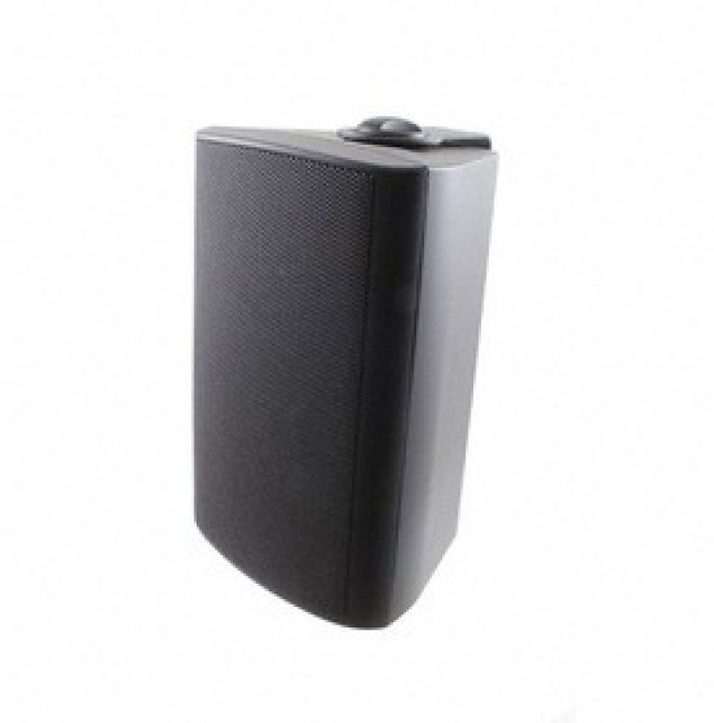 WB 10 - 100 V/8 OHM (BLACK)