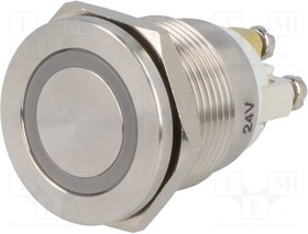 V19-10PFE-24Y-S, Переключатель: антивандальный, Пол: 2, SPST-NO, 0,5A/220ВAC, IP65