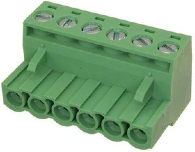 395305006