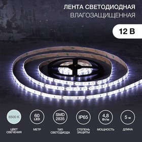 141-2015, Лента светодиодная 12В, SMD2835, 4,8Вт/м, 60 LED/м, 6500К, 8мм, 5м, для БП с клеммами, IP65