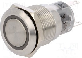 V19-11R-220G-S, Переключатель: антивандальный, Пол: 2, SPDT, 0,5A/220ВAC, 1A/24ВDC