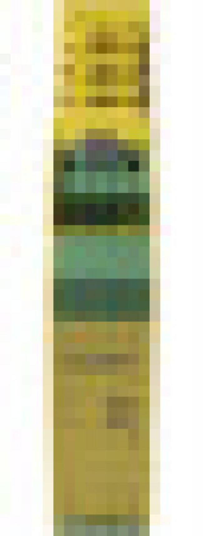 2981020 2981020