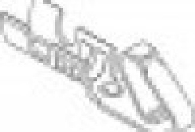 0008700049, Контакт, "мама", 22-28AWG, KK, луженые, обжим, россыпью, на провод 0008700049, Контакт, "мама", 22-28AWG, KK, луженые, обжим, россыпью, на провод